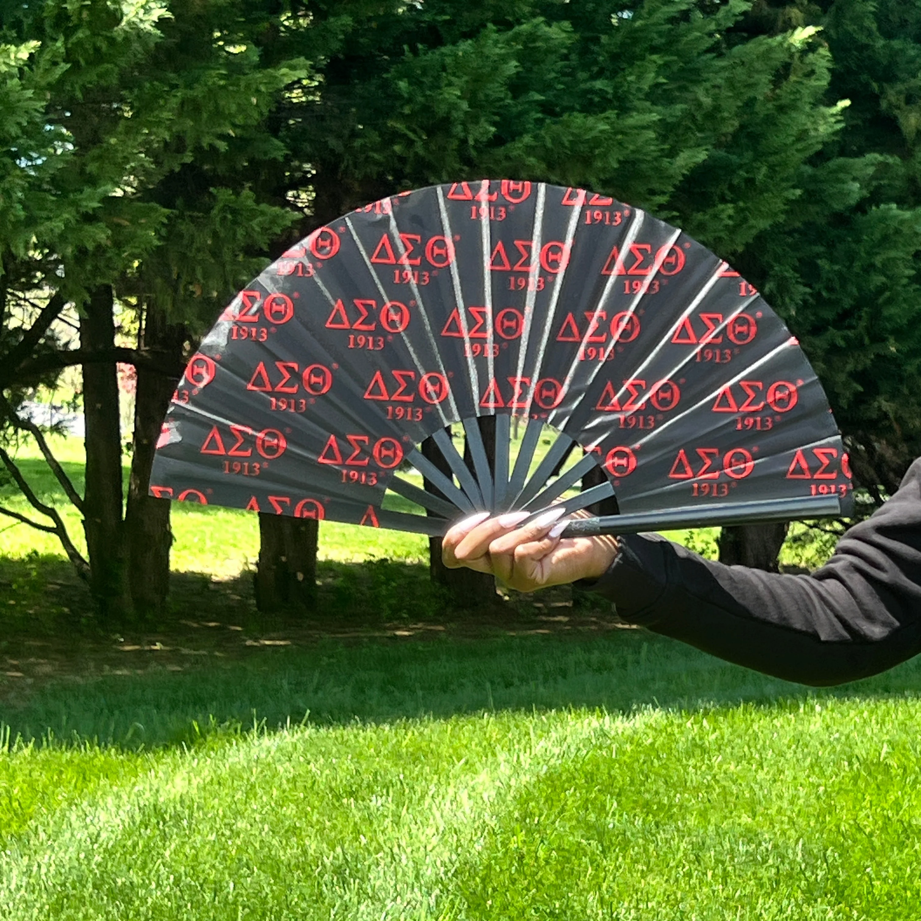 Delta Sigma Theta Fan - Image 6